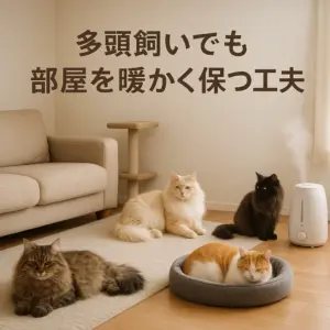冬のリビングで4匹の猫がそれぞれの場所でくつろぐ様子